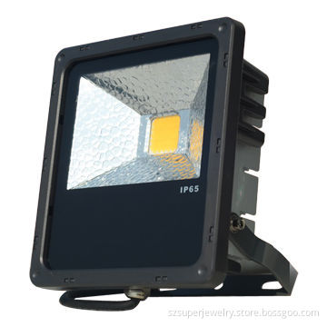 20W LED Floodlight